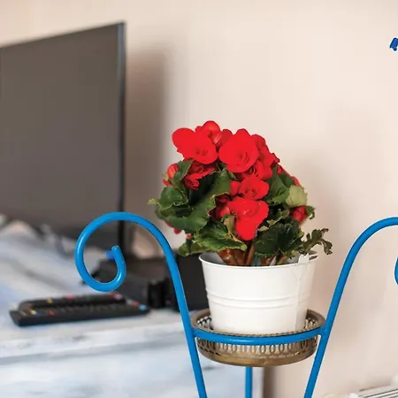 Frupi-apartmanok * Ostoros