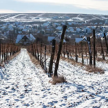 Frupi-apartmanok * Ostoros