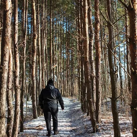 Frupi-apartmanok Appartement *