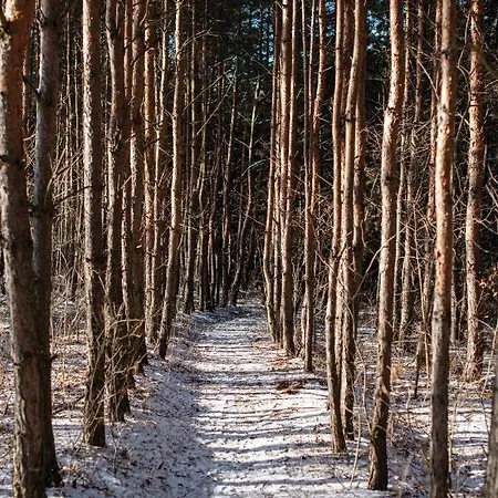 Frupi-apartmanok Ostoros