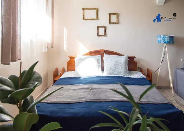Frupi-apartmanok *